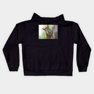 Staring Contest with a Squirrel Kids Hoodie